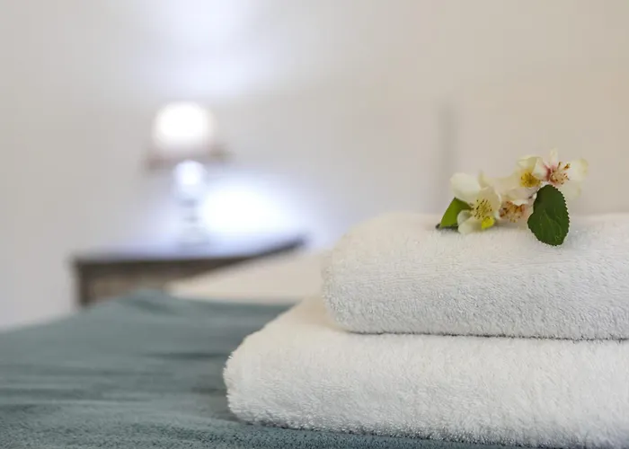 C-premium Apts 100m From And Centre Daire *