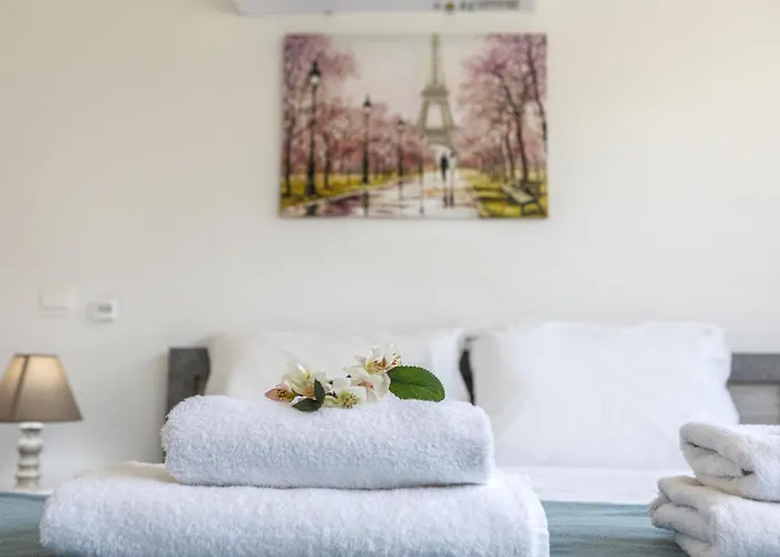 C-premium Apts 100m From And Centre